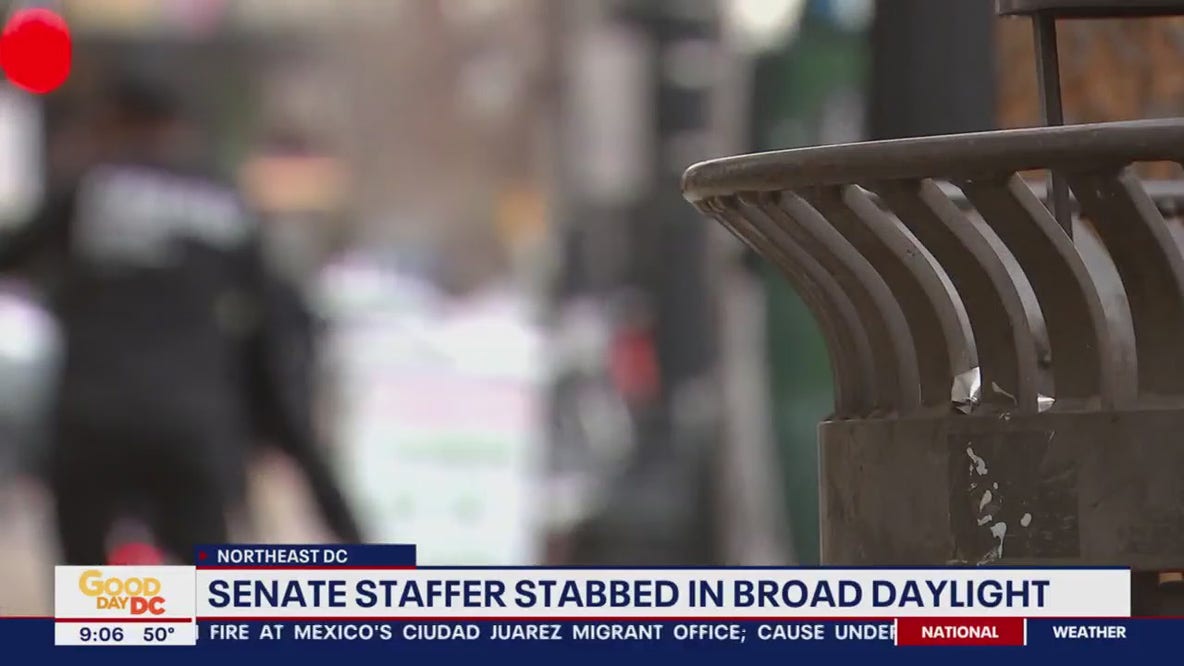 Senator Rand Paul's staff member stabbed in Northeast; man arrested, charged